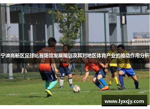 宁波高新区足球比赛场馆发展规划及其对地区体育产业的推动作用分析